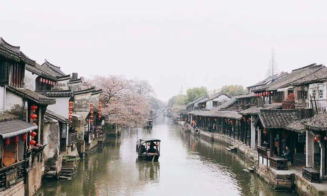 为什么印度尼西亚不是世界上最大的椰子出口国？游戏画面