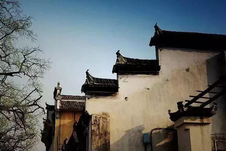 天津东丽生孩子农村社保卡办理流程游戏画面