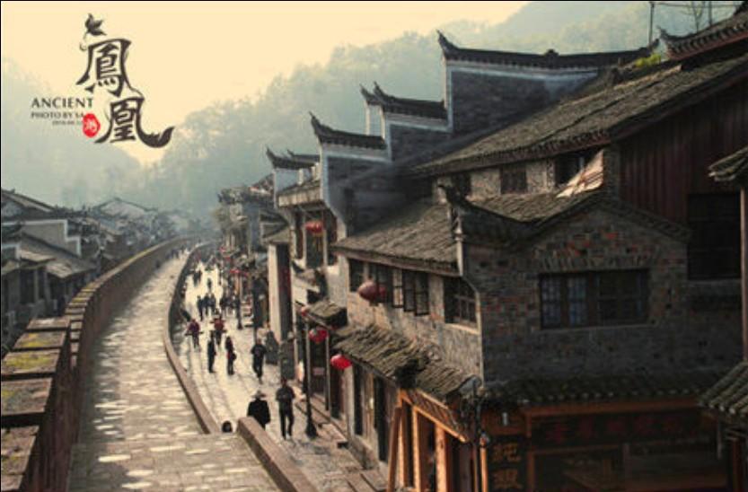 淘气兔救援